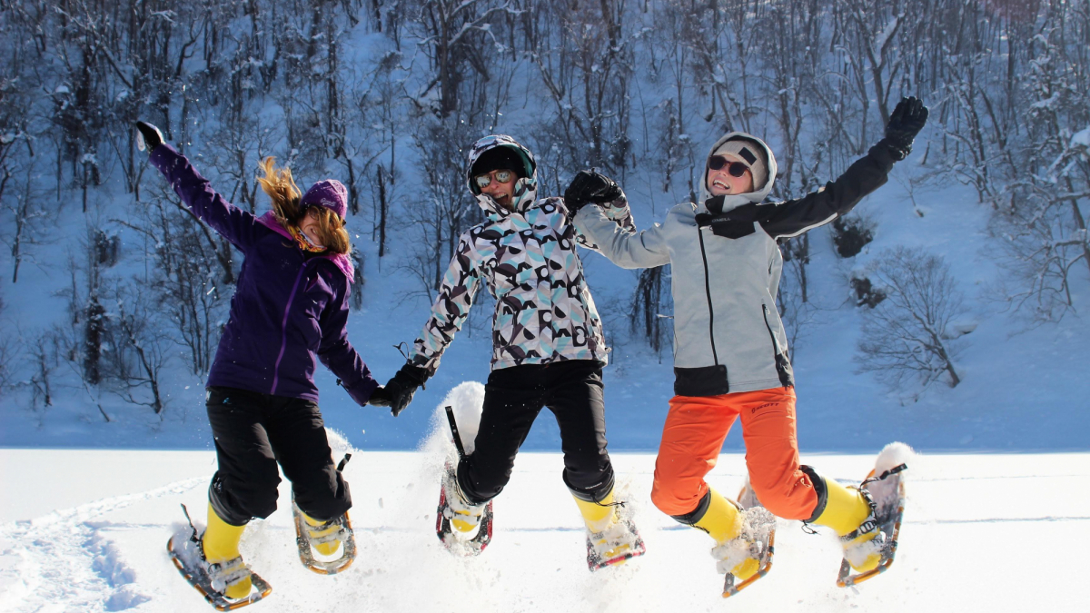 Snowshoeing 8090