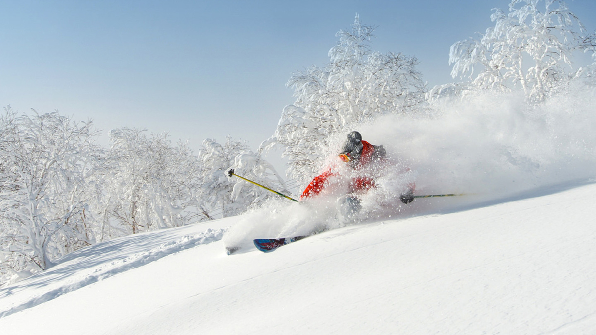 Back Country Guided Tours