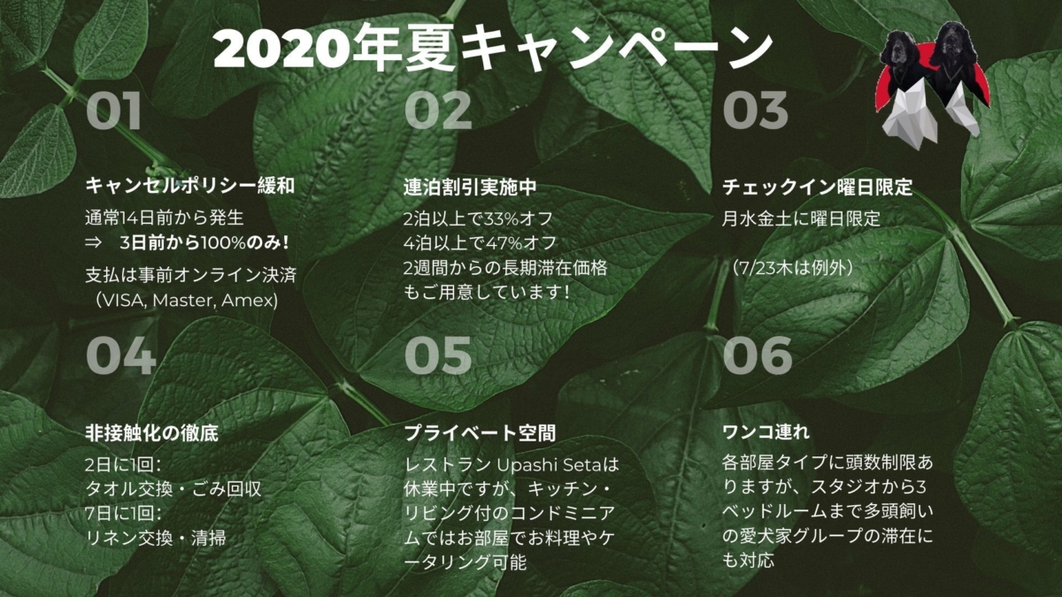 2020 Summer Campaign