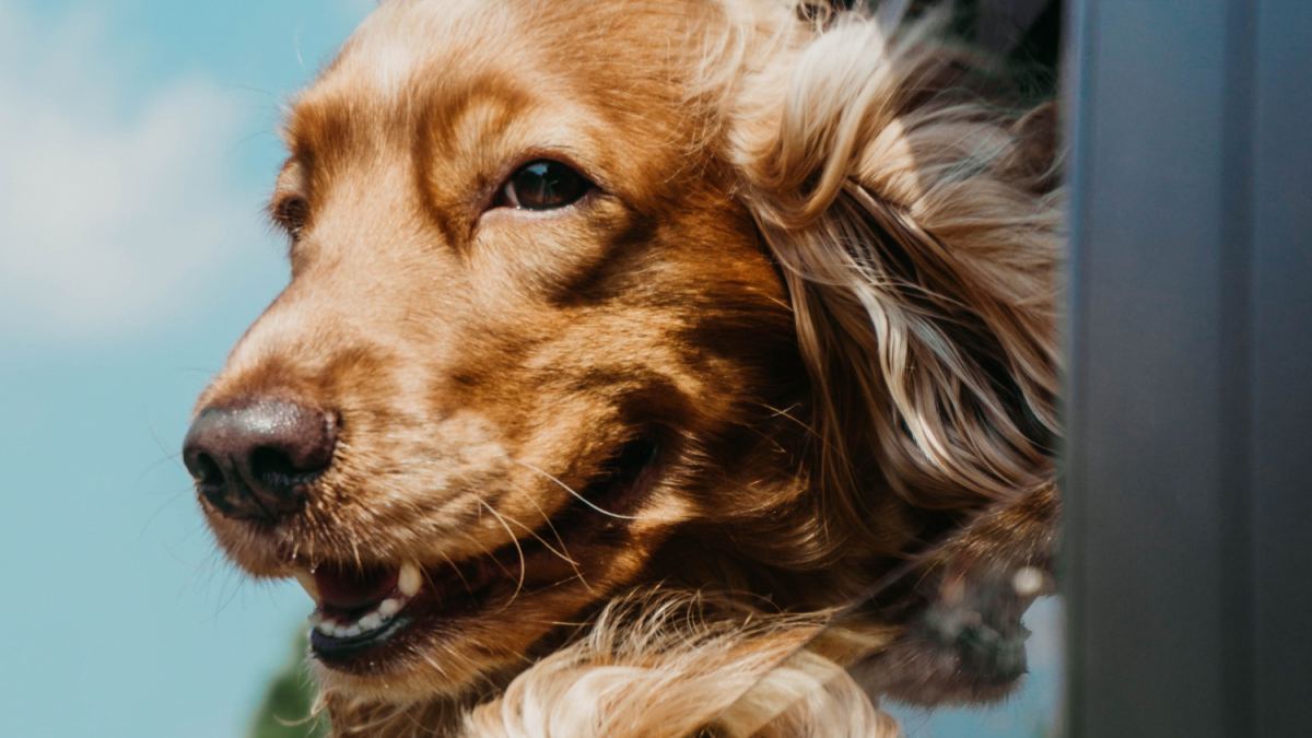 Ja san miguel qquvawq 0 unsplash