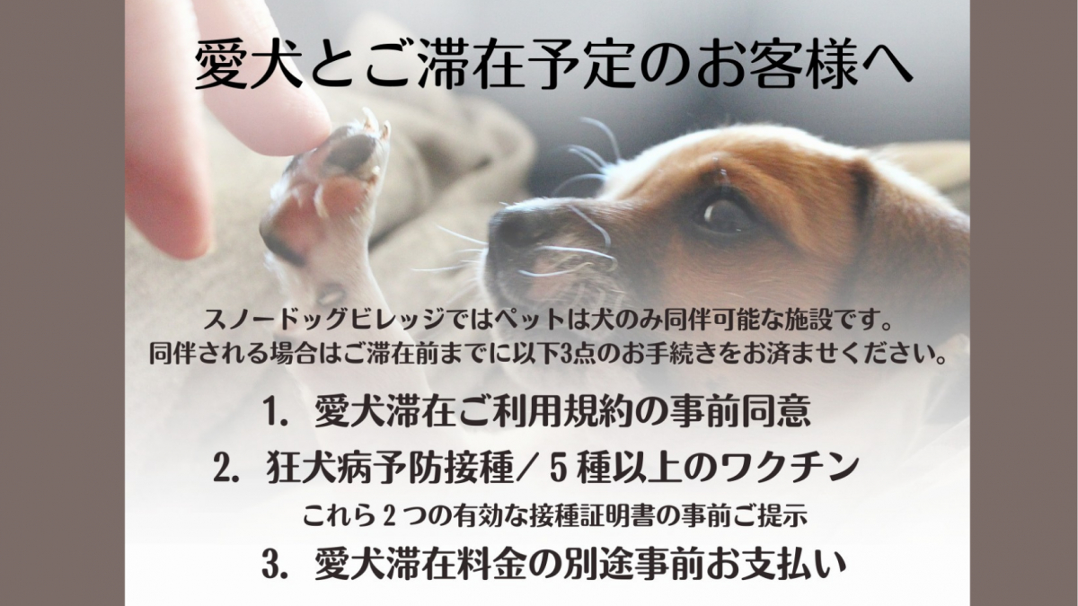 Dog Rules 1